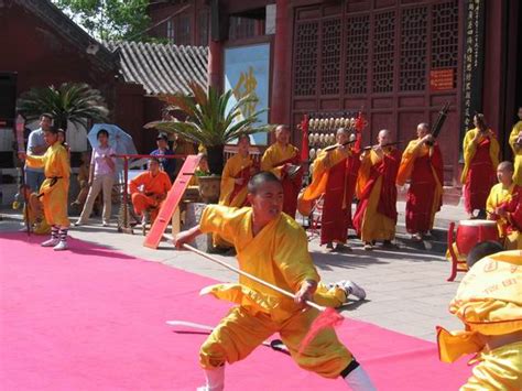  The Rabbit Who Learned Kung Fu! An Unexpected Hero in Ancient China?