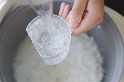 炊き込みご飯 水の量：米と水の調和を探る